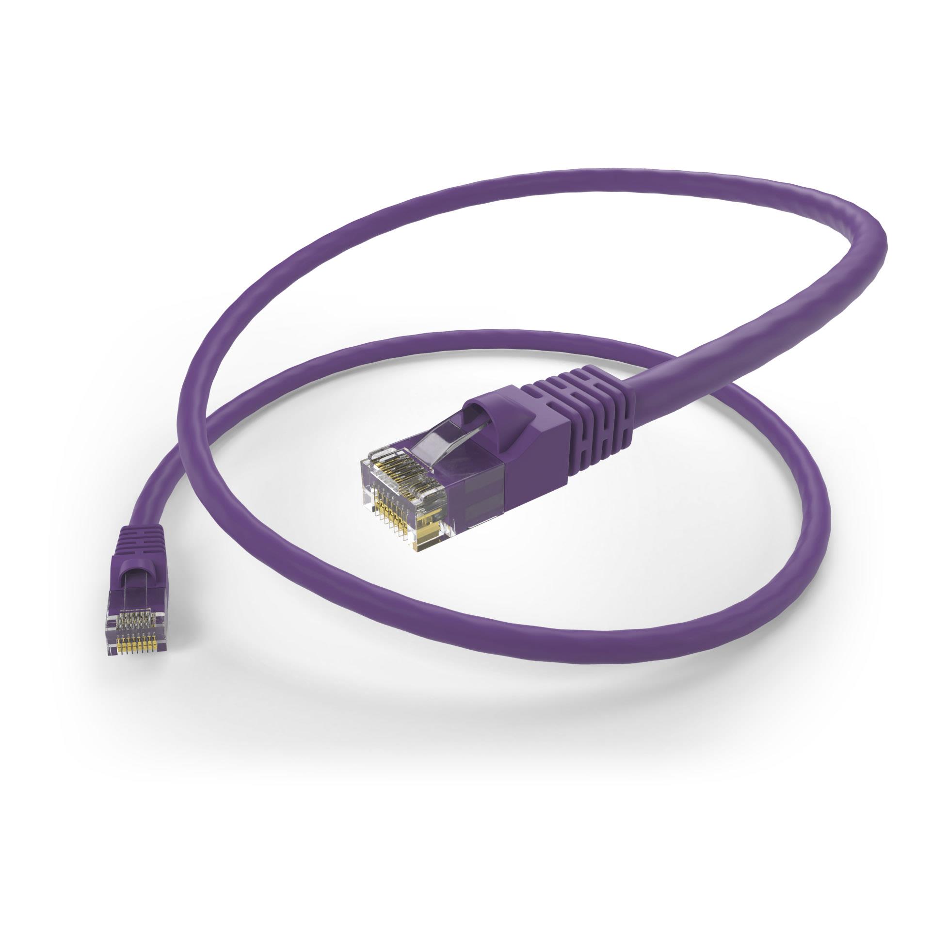 PC6-6IN-PUR-S
