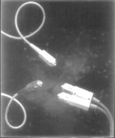 5503995-1