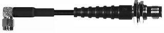 SPC29319