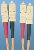 F6D3-3M2Y